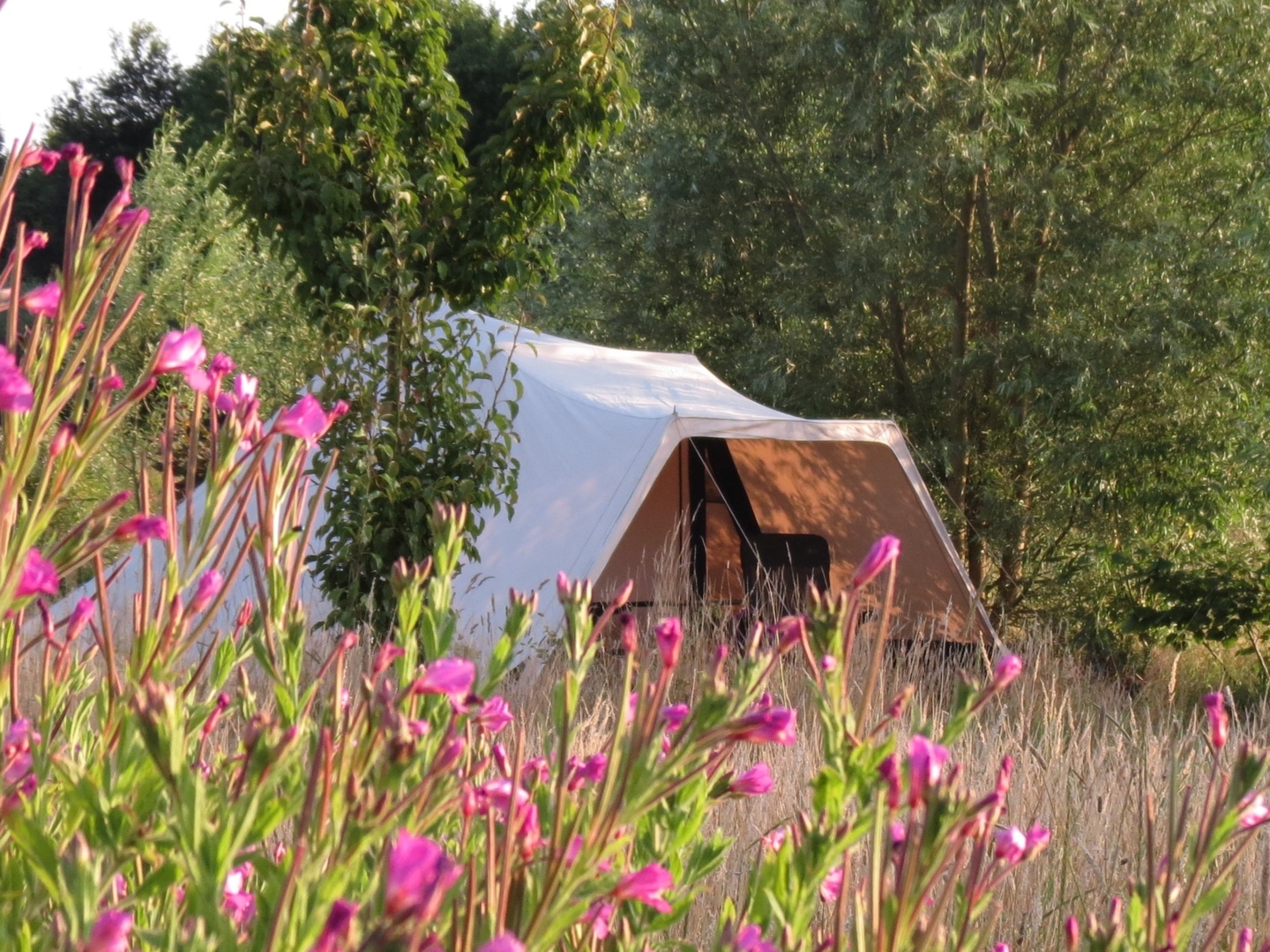 Tente Camping Pays Bas Campspace